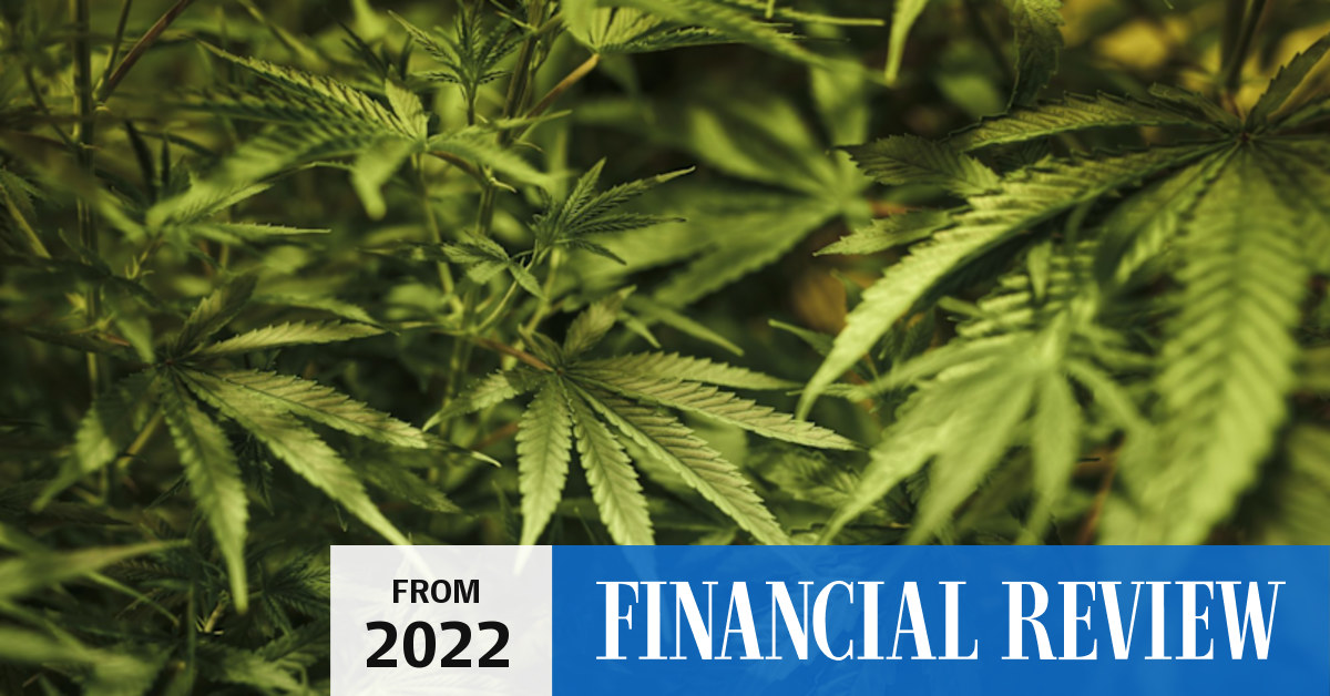 Creso Pharma chases 5m, offers options